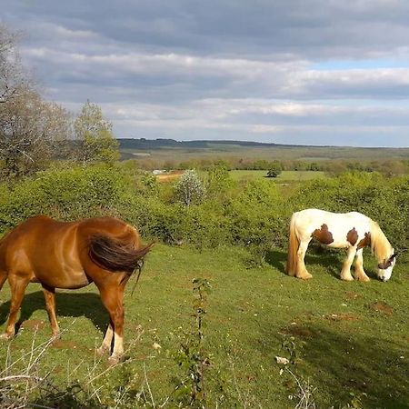 Maison De Bois En Pleine Nature A 20 Min De Beaune Montceau-et-Echarnant ภายนอก รูปภาพ