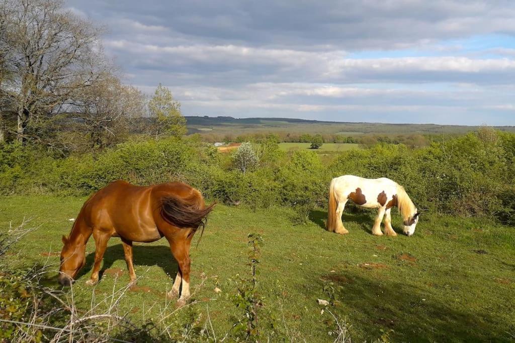 Maison De Bois En Pleine Nature A 20 Min De Beaune Montceau-et-Echarnant ภายนอก รูปภาพ