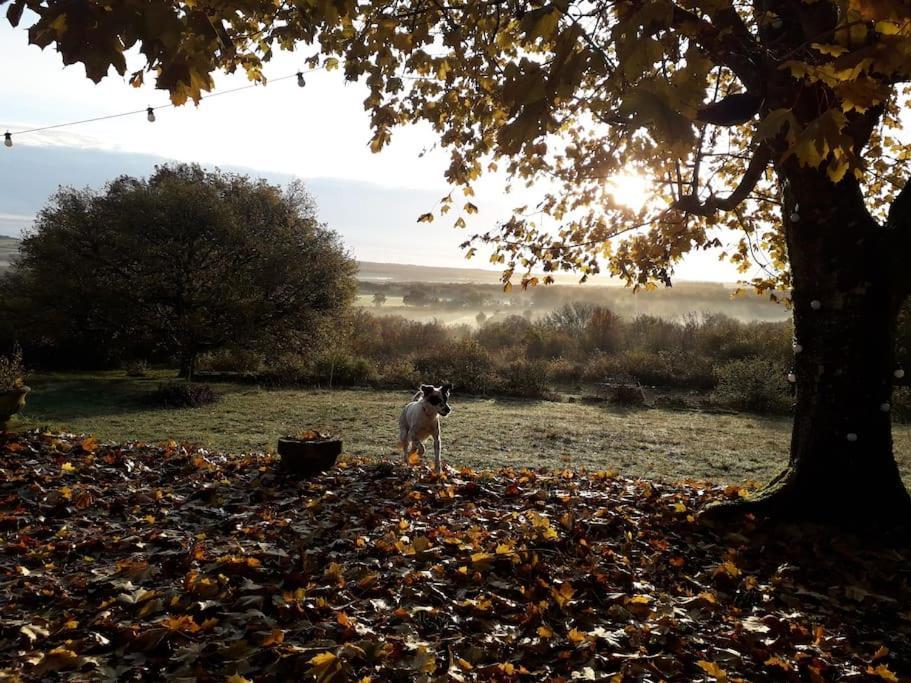 Maison De Bois En Pleine Nature A 20 Min De Beaune Montceau-et-Echarnant ภายนอก รูปภาพ