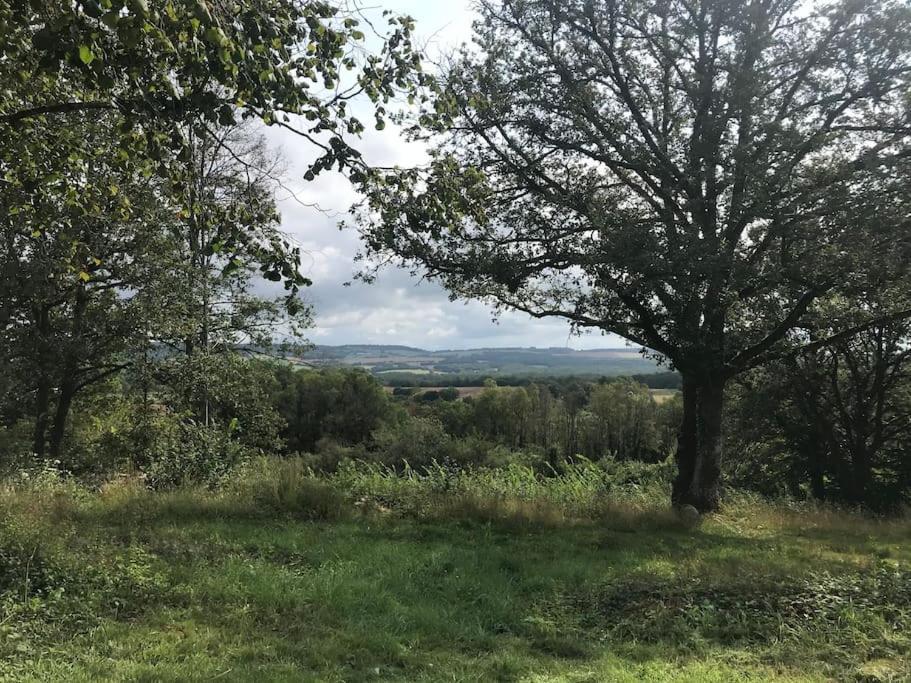 Maison De Bois En Pleine Nature A 20 Min De Beaune Montceau-et-Echarnant ภายนอก รูปภาพ